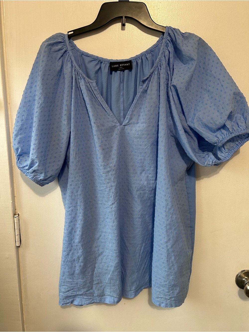 Lane Bryant Light Blue Puff Sleeve Peasant Blouse
